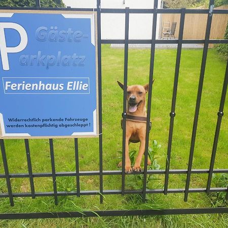 Ferienhaus Ellie Haffkrug Kültér fotó