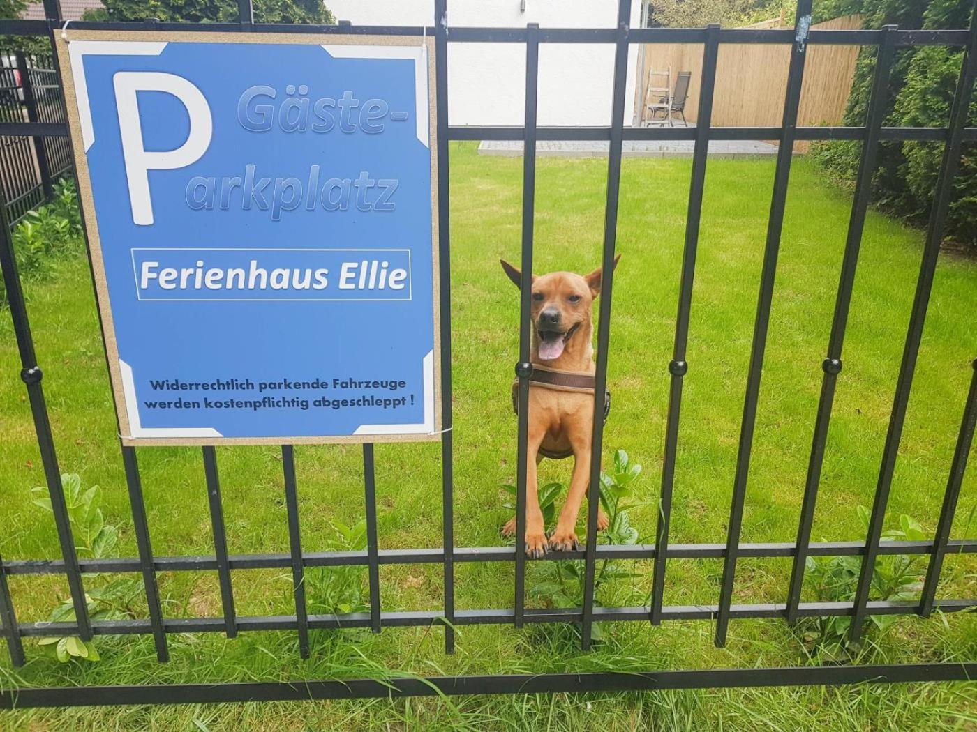 Ferienhaus Ellie Haffkrug Kültér fotó